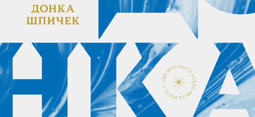 donka nagrada jasminka vizual